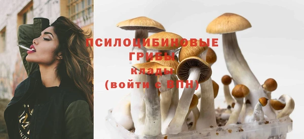 PSILOCYBIN Майский