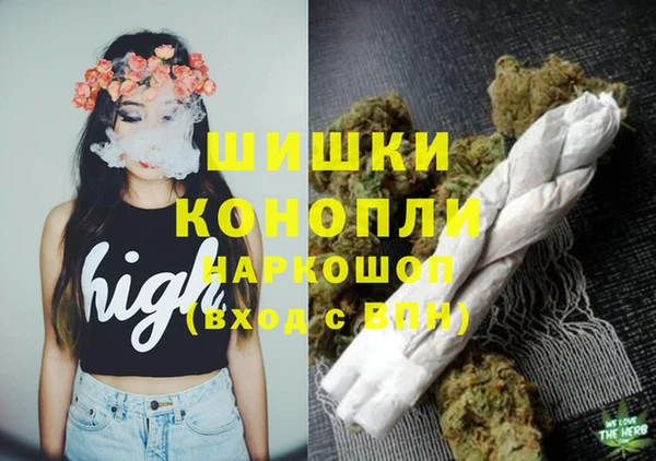 PSILOCYBIN Майский