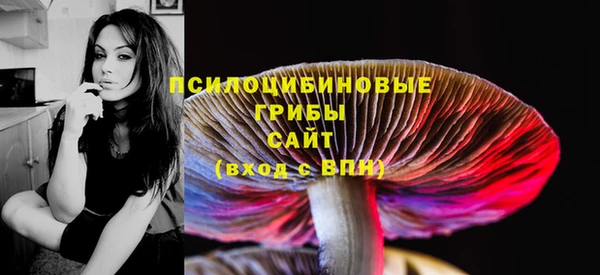 PSILOCYBIN Майский