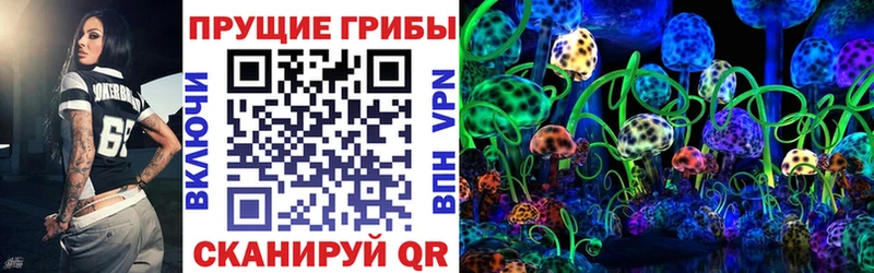 Купить закладки  Ардон  Псилоцибиновые грибы прущие грибы 